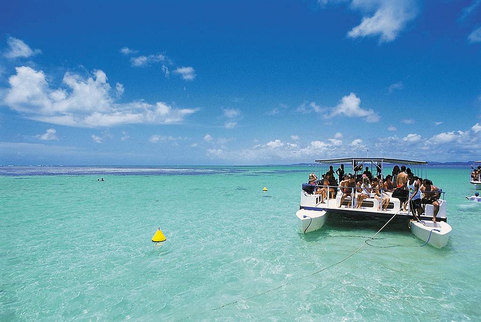 As melhores praias de Alagoas para quem ama mar calmo e piscinas naturais